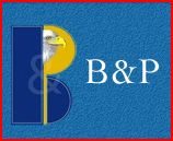 B&P GROUP Ltd