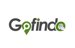 Gofin